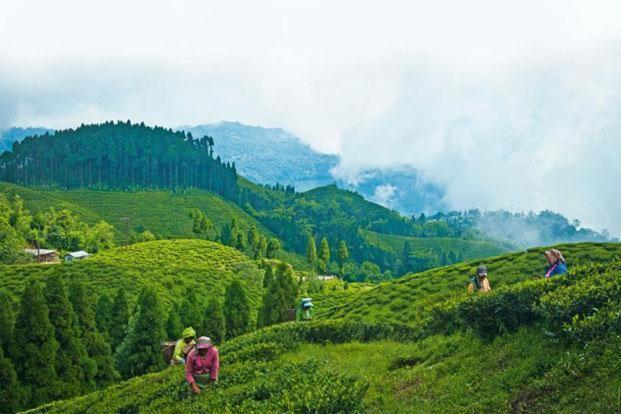 Hotel Central View - Darjeeling Darjeeling  Exterior photo